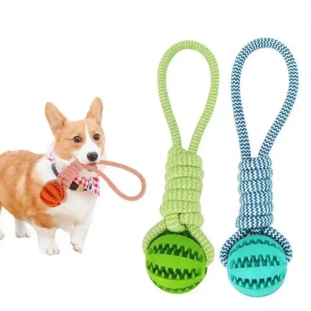 Brinquedo para Cães, Bola de Algodão Resistente a Mordidas, Bola Interativa para Limpeza de Dentes e Treinamento, Brinquedo Educativo