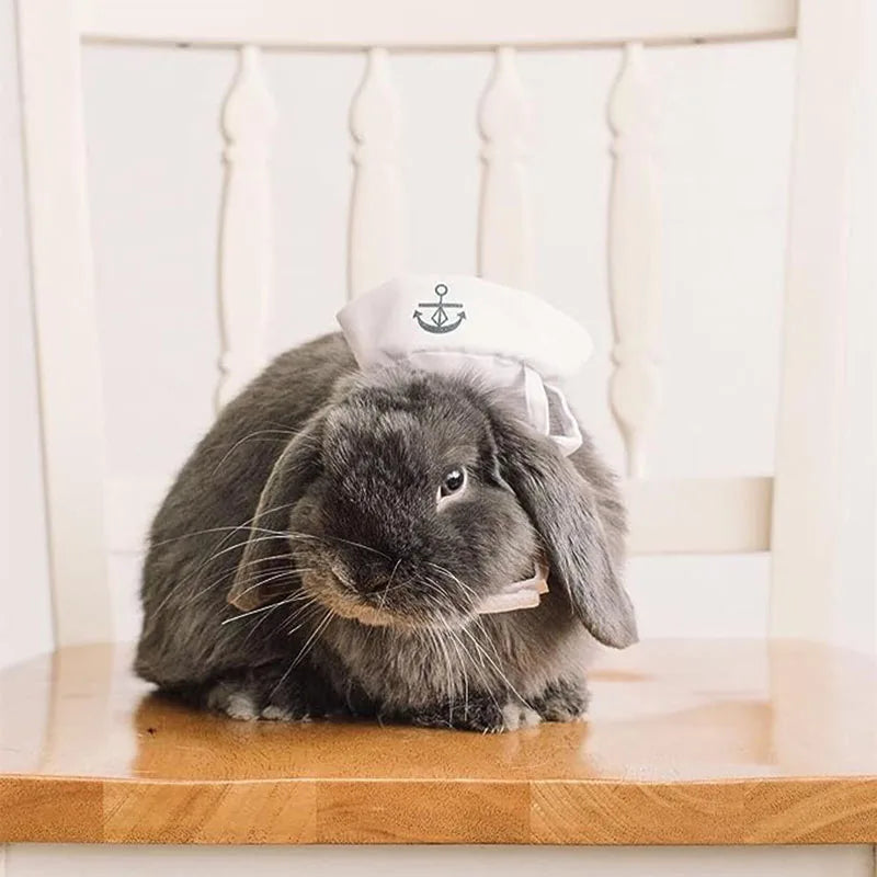 Engraçado trajes de gato de estimação pequeno cão coelho vestuário roupas para halloween cosplay marinha marinheiro roupas jaqueta manto acessórios para cães