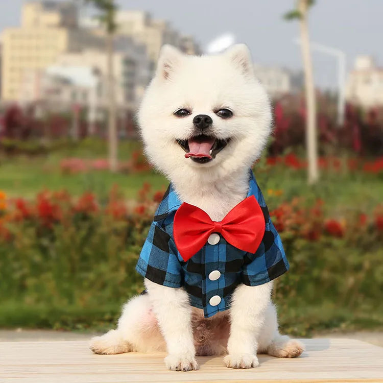 Cão de estimação roupas xadrez camisa terno gravata vestido primavera verão filhote de cachorro casaco teddy bear pomeranian colete pequeno-médio cão gato animal de estimação traje