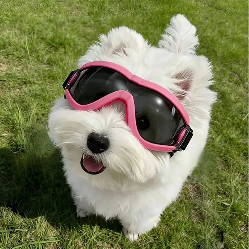 Óculos de Proteção para Cães Pequenos e Médios com Proteção UV e à Prova de Vento, Óculos de Sol para Animais de Estimação com Alça Ajustável