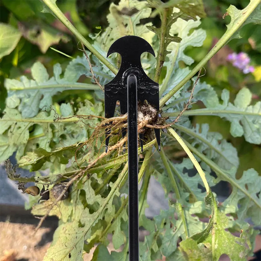 Hada de jardim, suprimentos agrícolas, ferramenta de ervas daninhas, ferramentas de jardinagem, utensílios de mão, herbicida, professor de ervas daninhas, acessórios agrícolas