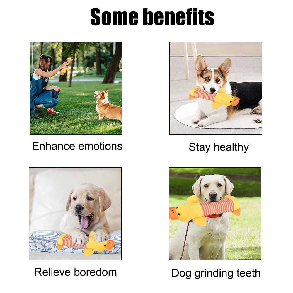 Apto para todos os animais de estimação cão gato velo brinquedos popular rangido mastigar som bonecas elefante pato porco animal de estimação engraçado brinquedos de pelúcia