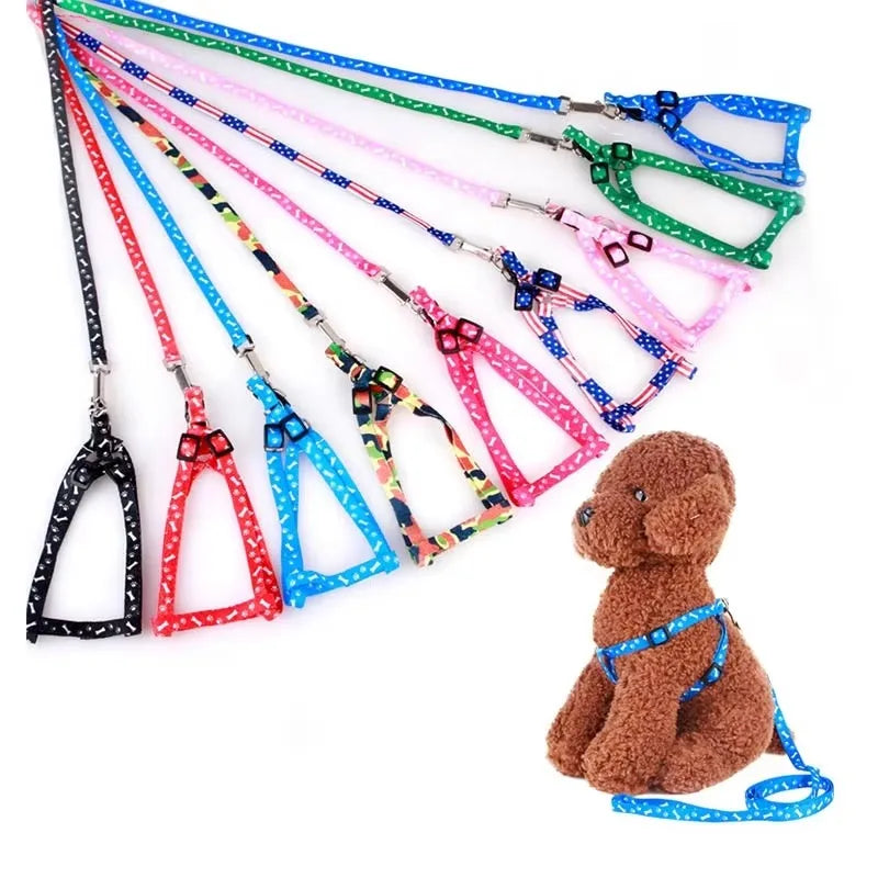 Coleira para Cães Pequenos, Coleiras para Filhotes, Conjunto de Coleira e Peitoral para Teddy, Conjunto de Corda de Guia Fofa