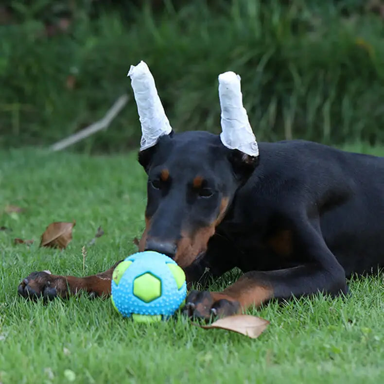 Pet tpr brinquedo bola interação animais de estimação aliviar o tédio mordida resistência pequeno cão de tamanho médio moagem dormir ventilação bola flash