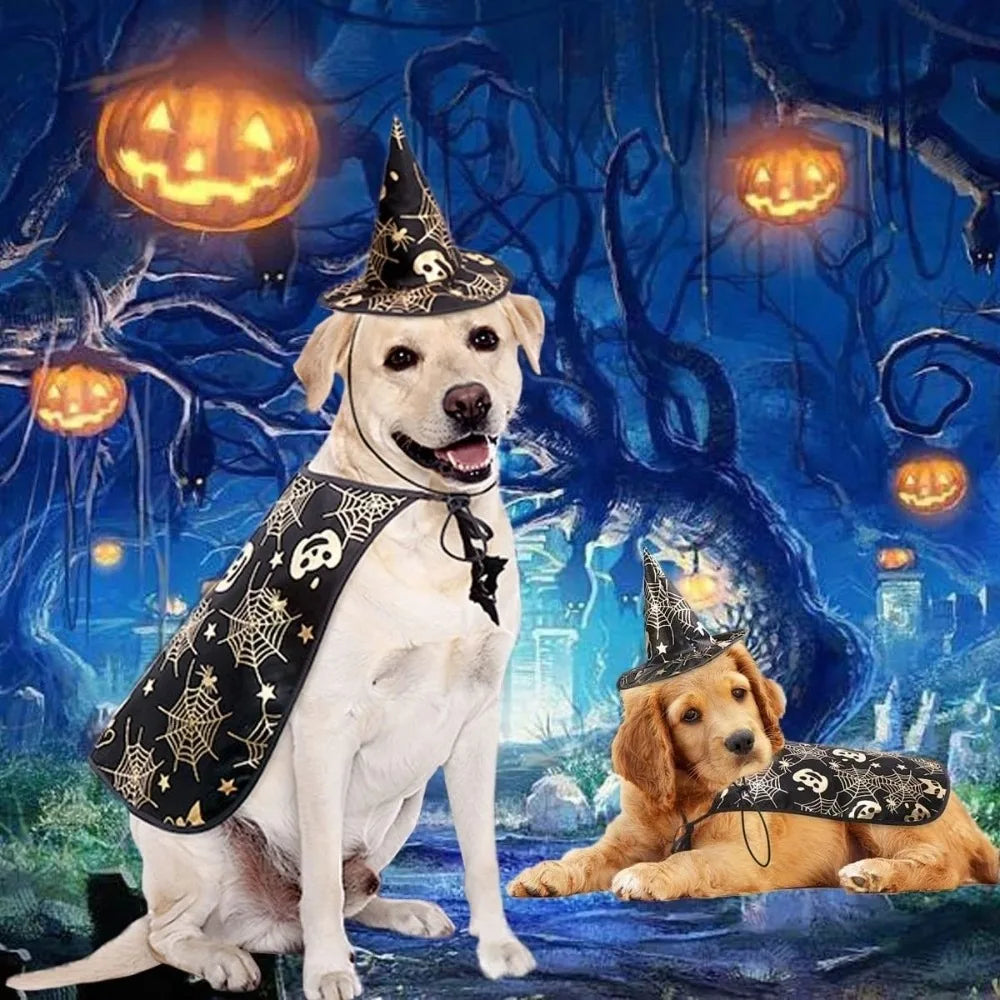 Engraçado abóbora animal de estimação trajes de halloween capa ajustável macio gatos cosplay roupas morcego preto halloween animal de estimação vestuário festa