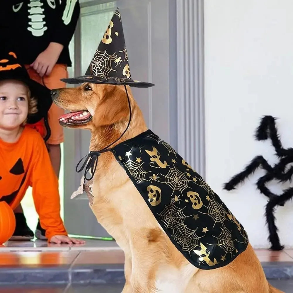 Engraçado abóbora animal de estimação trajes de halloween capa ajustável macio gatos cosplay roupas morcego preto halloween animal de estimação vestuário festa