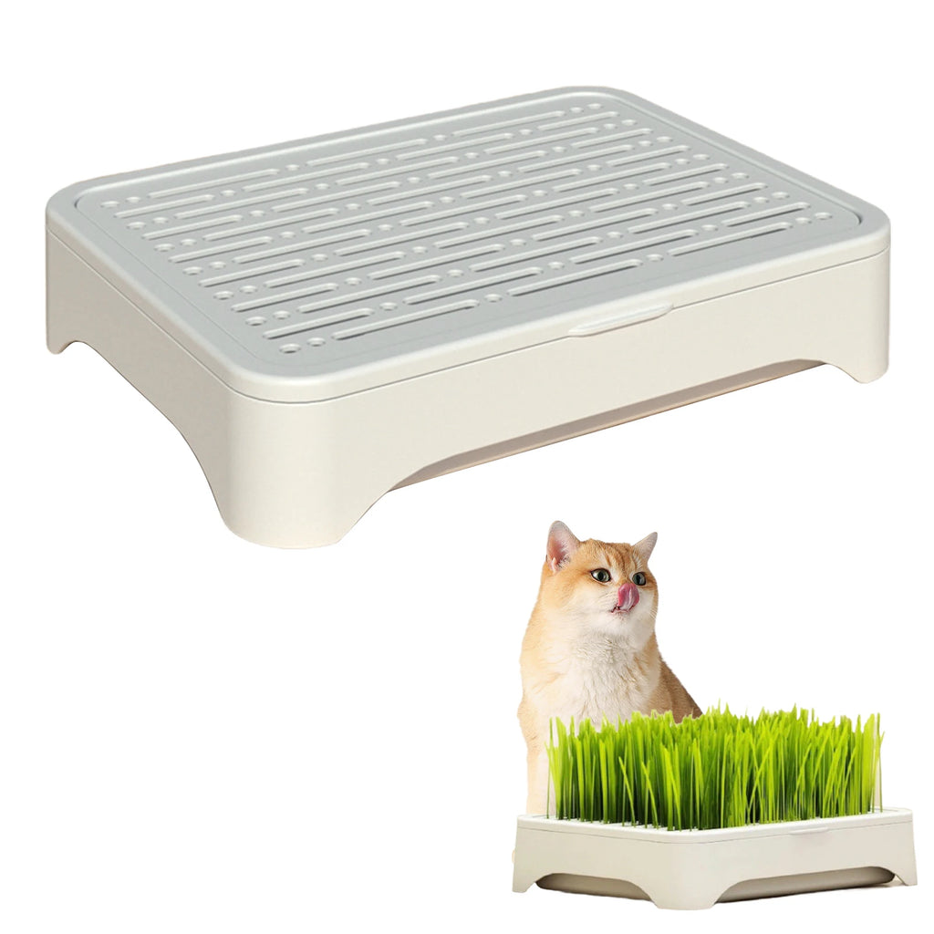Bacia de plantio de grama para gato de estimação, cultura sem solo, vaso de mudas de trigo, dispositivo hidropônico de grama para gatinhos, vaso de plantio horticultura