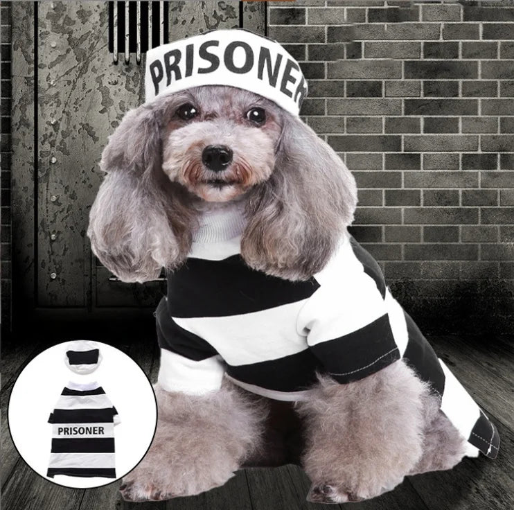 Fantasia de cachorro de prisioneiro para animais de estimação de Halloween