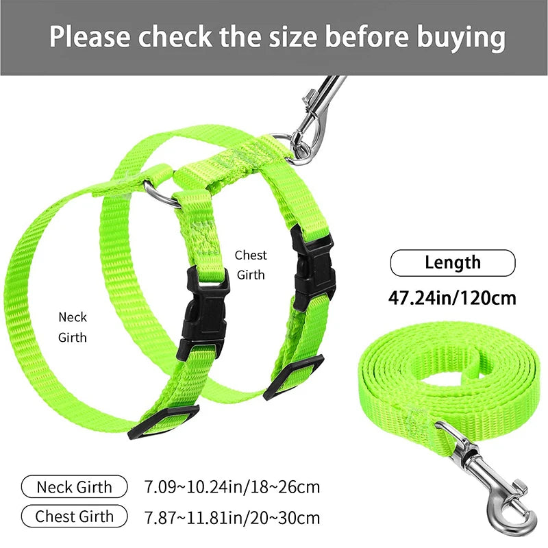 Coleira ajustável para gatos, coleira aconchegante de nylon para coelho, gatinhos, conjunto de coleira para cães e gatos, produtos para animais de estimação