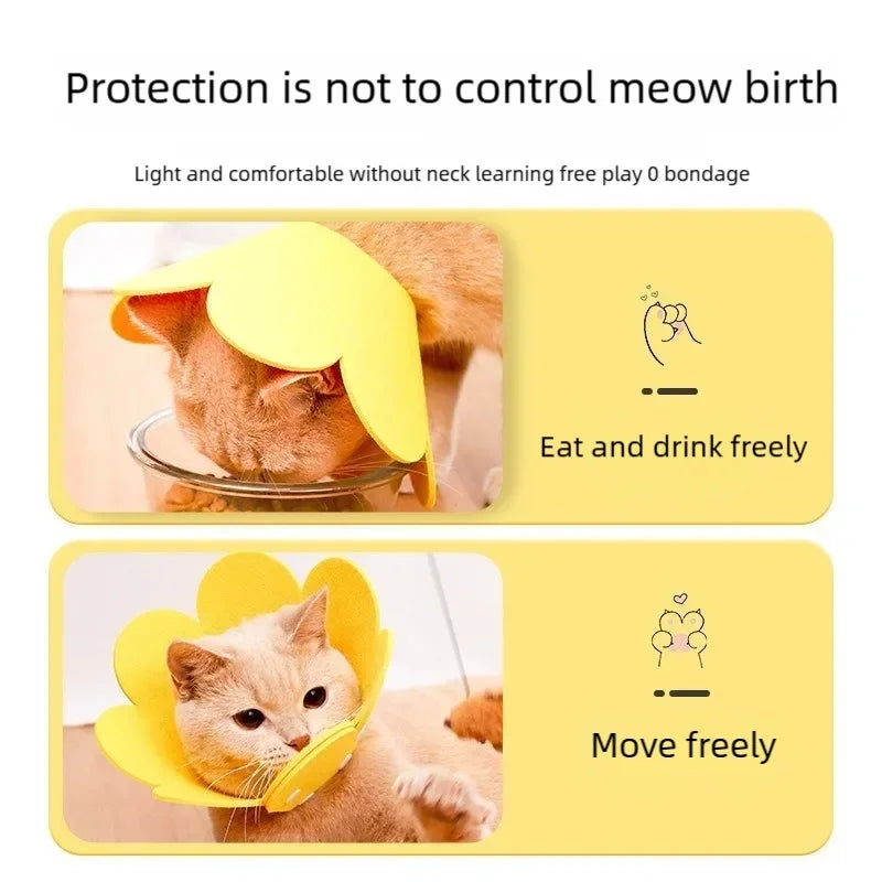 Coleira Protetora Ajustável em Formato de Flor para Recuperação de Pets, Coleira Elizabetana Anti-Mordida para Cães e Gatos em Recuperação