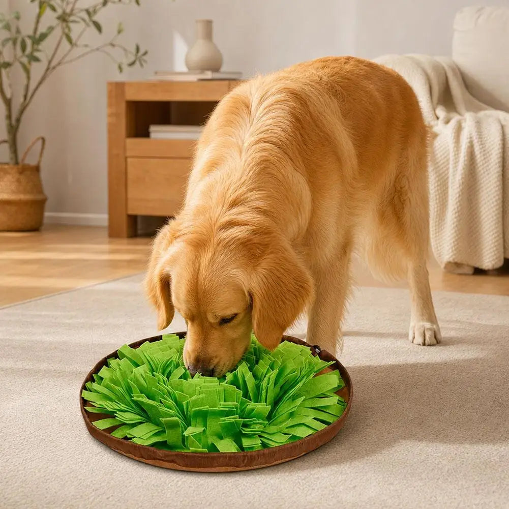 Tapete de busca para cães, jogo interativo de busca de alimentos, brinquedo em forma de tapete para alimentação lenta, ideal para o treino de cães, estimula as habilidades naturais de busca de alimentos.