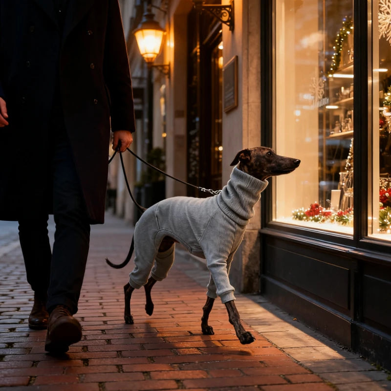 Roupa para Cães Greyhound Whippet Italianos, Pijama de Primavera para Cães de Porte Médio e Grande, Gola Alta, Terno de Quatro Patas S-5XL