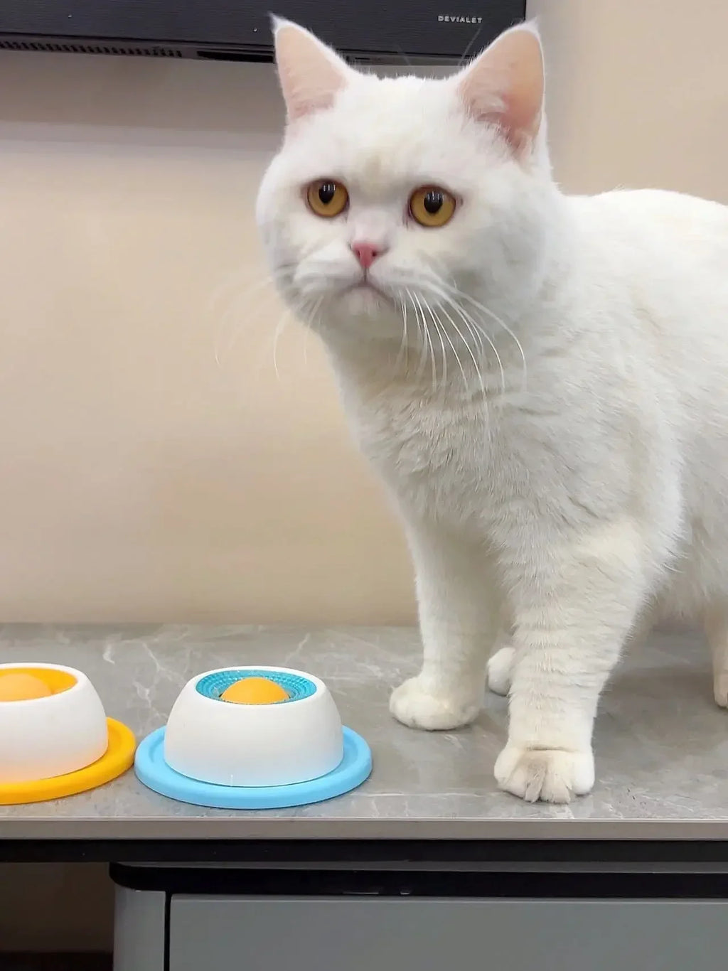 Brinquedo Interativo para Pets: Dispensador de Alimentação Lenta para Enriquecimento e Treinamento, Acessório para Cães, Gatos e Filhotes