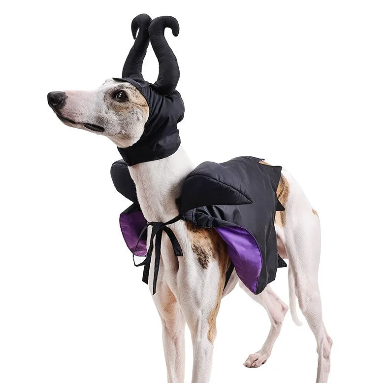 Fantasia de Halloween para Cães e Gatos, Capa com Capuz, Capa de Veludo da Maléfica, Ajustável, Vestuário para Festa de Cosplay, Brinquedo Engraçado de Bruxa para Animais de Estimação
