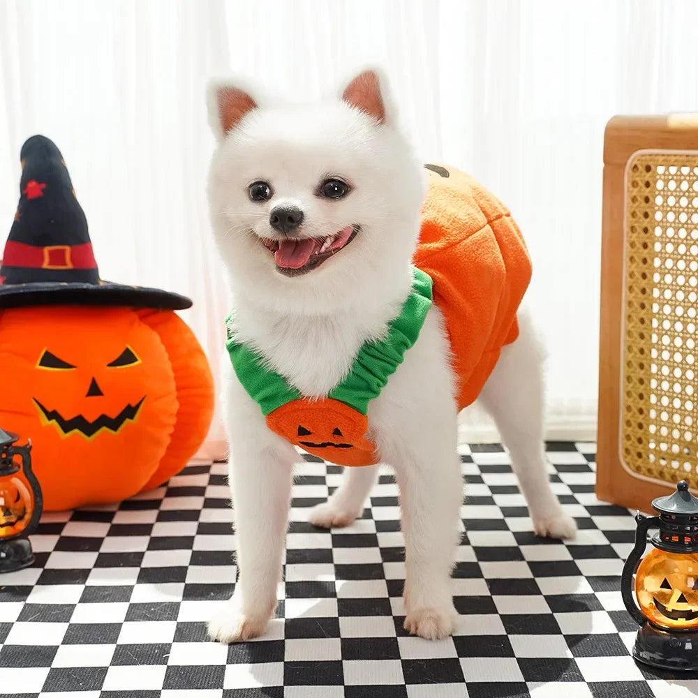Fantasias de Halloween para Cães, Traje Engraçado de Abóbora Lanterna, Roupa de Transformação para Cães e Gatos de Duas Patas, Chapéu de Abóbora Fofo, Jaqueta para Cães