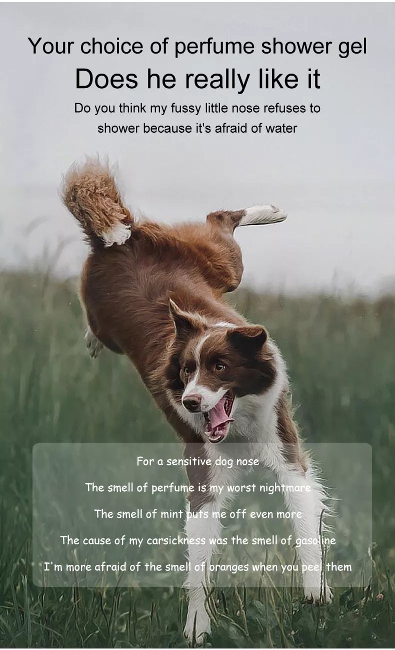 Shampoo para animais de estimação, para cães, pele seca, alívio de coceira, anti-pulgas, banho, chuveiro para animais de estimação, anti-rasque, gatos, cuidados com o cabelo, limpeza, gel de banho, sabonete