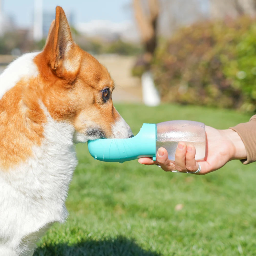 Garrafa de água para cães de estimação, 300ml, tigelas para beber cachorros, para cães pequenos e médios, caminhadas, alimentador portátil para gatos, suprimentos para golden retriever