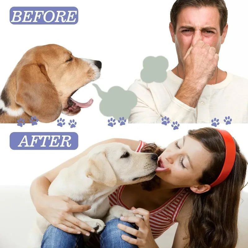 Spray de Cuidado Oral para Cães Limpeza de Dentes de Animais de Estimação Hálito Fresco Higiene Dental Diária Cuidado Suave para a Boca Fácil de Usar