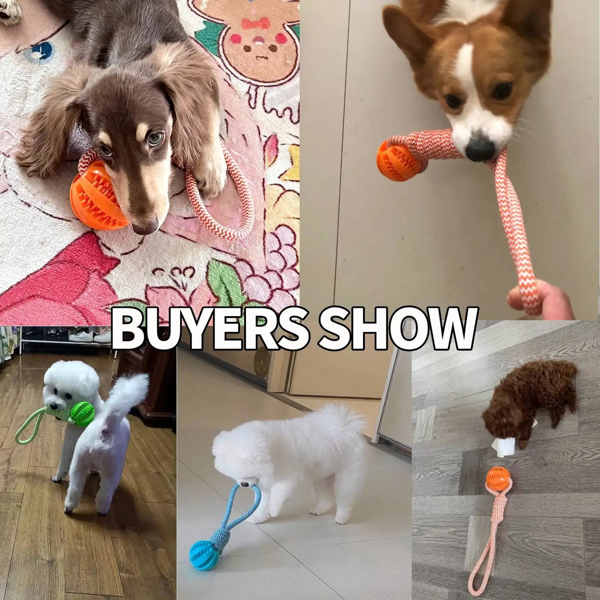 Brinquedo para Cães, Bola de Algodão Resistente a Mordidas, Bola Interativa para Limpeza de Dentes e Treinamento, Brinquedo Educativo