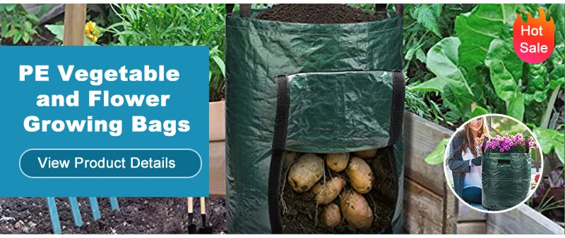 Hada de jardim, suprimentos agrícolas, ferramenta de ervas daninhas, ferramentas de jardinagem, utensílios de mão, herbicida, professor de ervas daninhas, acessórios agrícolas