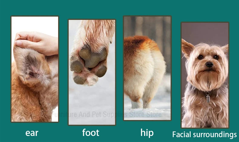 Conjunto 4 em 1 para tosa e cuidados com animais de estimação, 4 lâminas diferentes, barbeador de pelos de animais de estimação, baixo ruído, recarregável, sem fio, seguro, aparador de cães