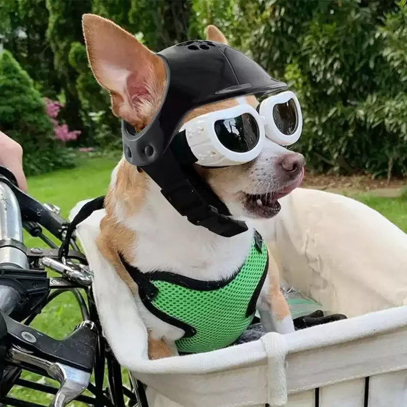 Capacetes para animais de estimação, capacete para gatos, capacete para cães, mini cabeça ao ar livre, chapéu seguro, capacete de motocicleta para cães, acessórios para fotos de animais de estimação