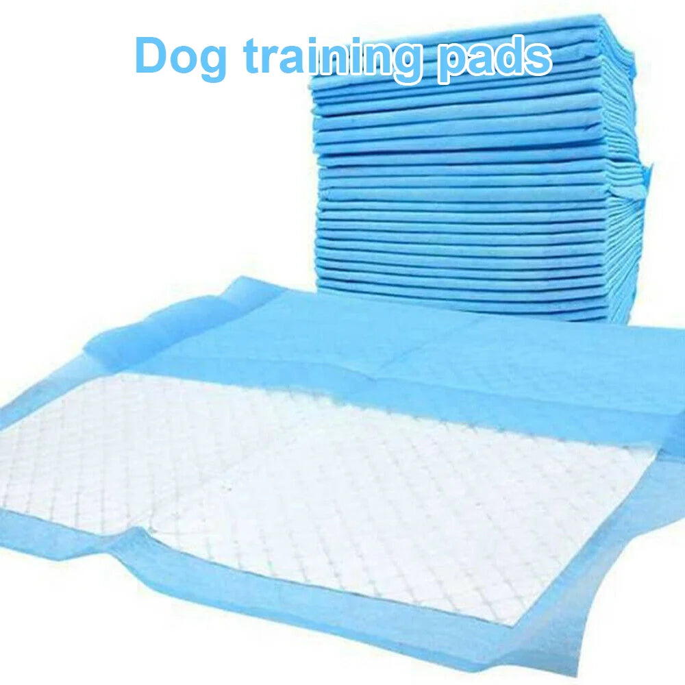 Fralda para animais de estimação, 50 peças, 60*90cm, 60*60cm, fraldas descartáveis para treinamento de cachorros, almofadas de xixi, superfície de secagem rápida, almofada limpa, fornecimento de cachorro