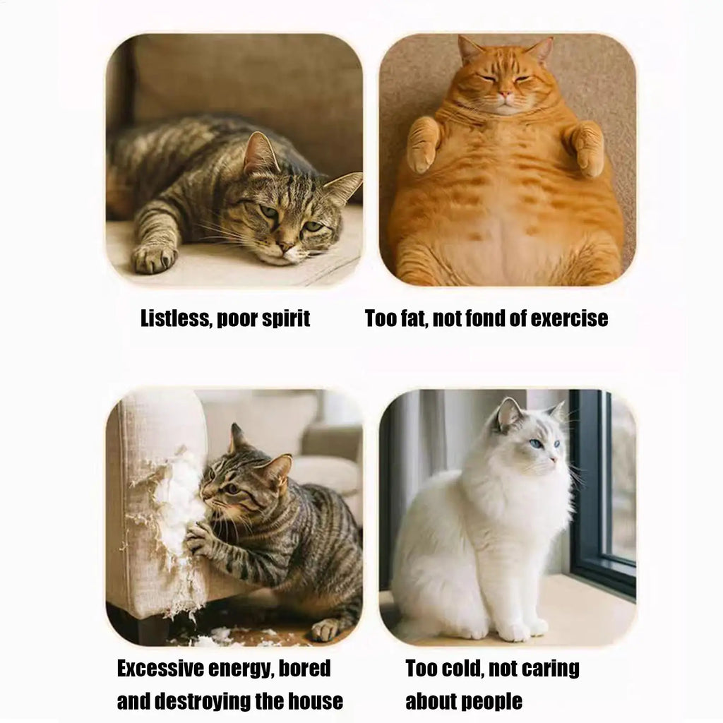 Pós de arranhar para gatos internos sisal gato arranhando post gatinho brinquedo interativo exercício interno brinquedo entretenimento suprimentos