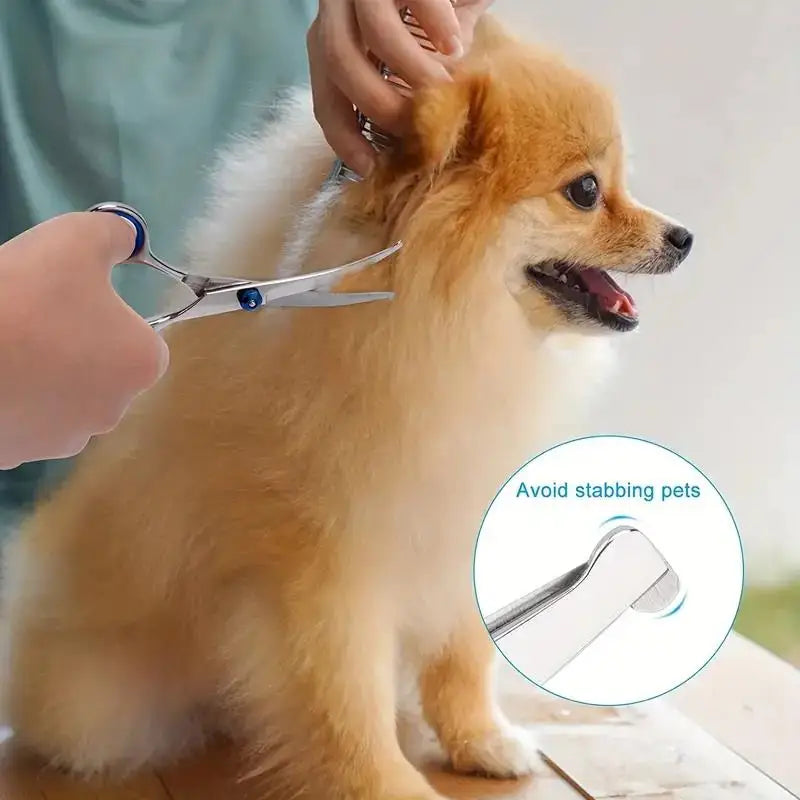 Tesoura segura para animais de estimação, 4 unidades, aço inoxidável ambidestro, tesoura para tosa de cães com cabeça redonda segura para aparar precisão