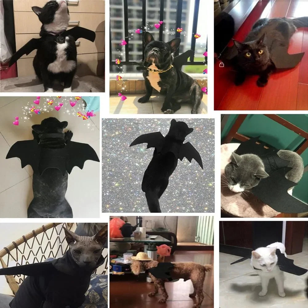 Conjuntos de fantasias de Halloween para cães Roupas engraçadas para cães Cosplay ajustável para cães Roupas Novidade para cães médios e grandes Fantasias Bulldog Pug