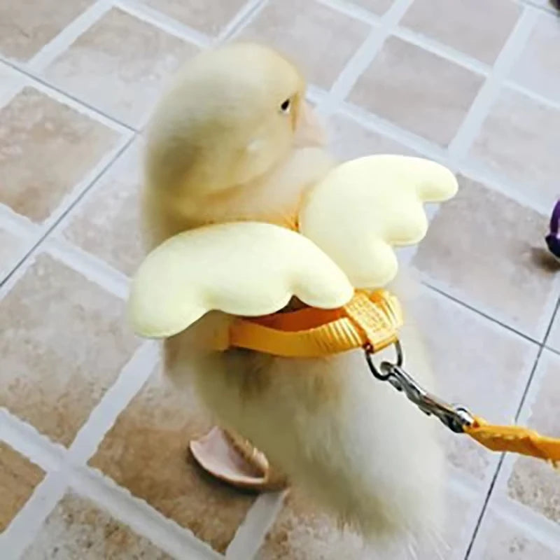 Coleira de pato com asa fofa, arnês de segurança para gato de estimação, filhote de cachorro, gatinho, corda de reboque ajustável, suprimentos para animais de estimação, animais pequenos