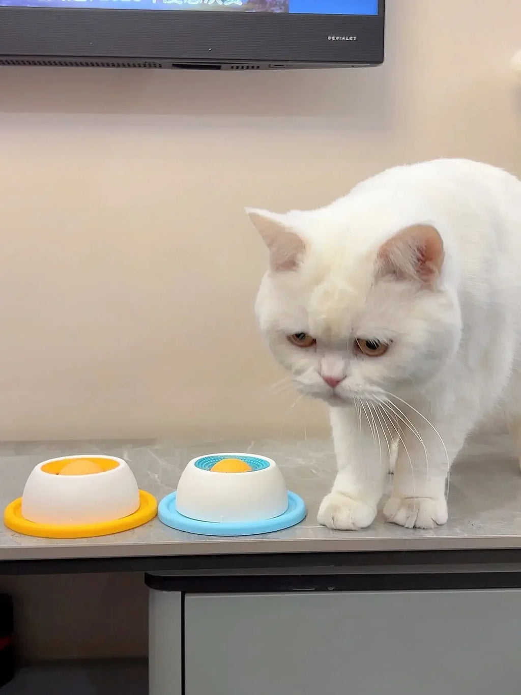 Brinquedo Interativo para Pets: Dispensador de Alimentação Lenta para Enriquecimento e Treinamento, Acessório para Cães, Gatos e Filhotes