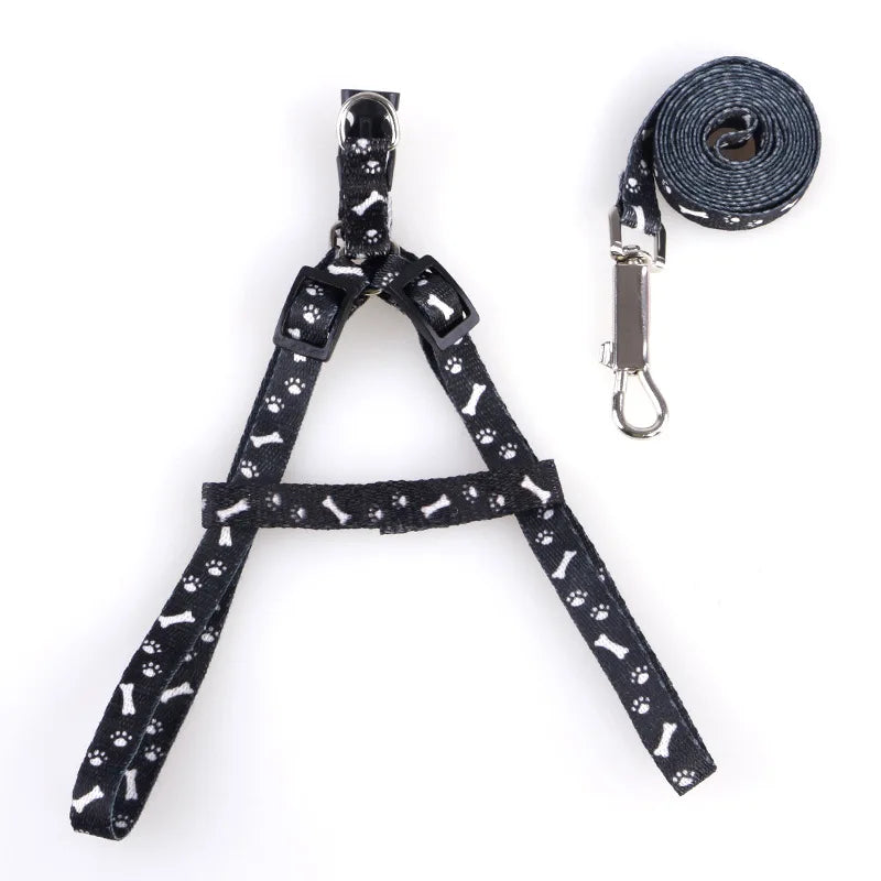 Coleira para Cães Pequenos, Coleiras para Filhotes, Conjunto de Coleira e Peitoral para Teddy, Conjunto de Corda de Guia Fofa