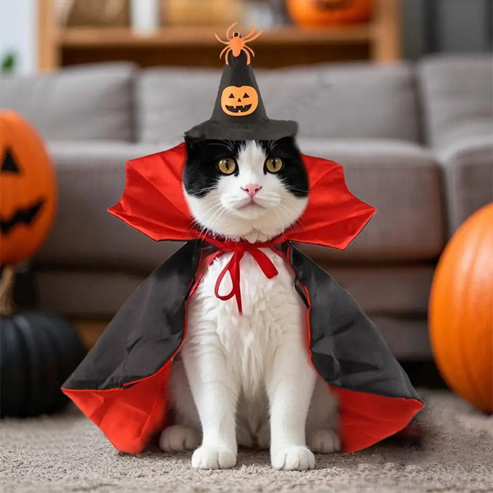 Traje de halloween para animais de estimação, confortável, fácil de usar, capa de cosplay de gato, tecido macio ajustável, capa de cavaleiro para cães