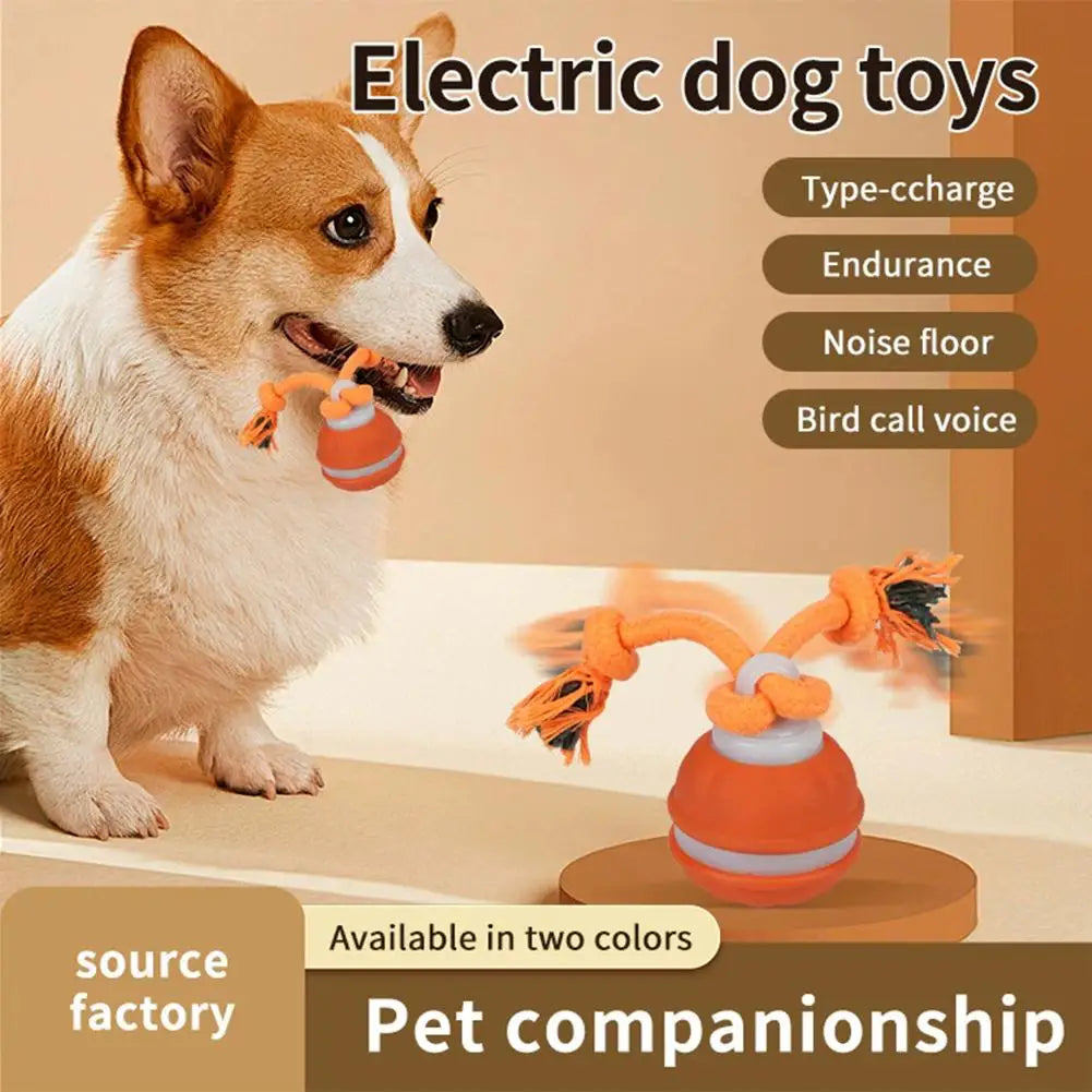 Bola Interativa para Cães, Brinquedo que Ativa com Movimento, Bola Rolante para Filhotes/Cães Pequenos, Brinquedo Automático Recarregável via USB