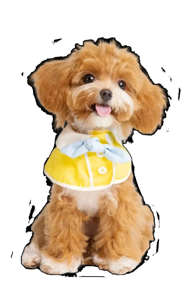 Lavadora de Animais de Estimação Personalizada com Sistema de Múltiplas Opções de Pagamento e Secagem, Design Amigável para Animais para Uso em Pet Shops e Residências