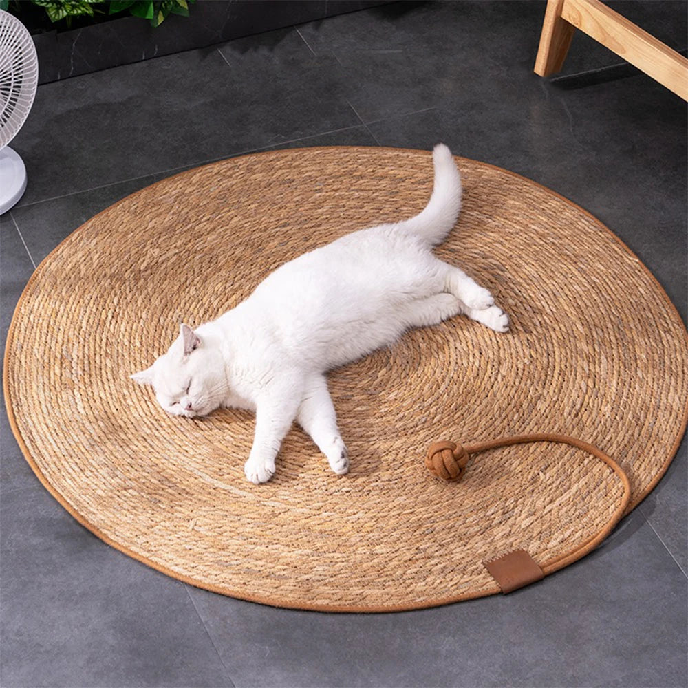 Gato scratcher rattan esteira placa gato zero para afiar unhas raspador gatos árvore gato arranhando post sofá esteiras protetor de móveis