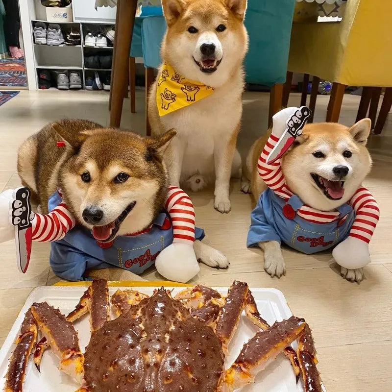 Fantasia de Halloween para Animais de Estimação – Vestido para Cães Pequenos e Médios – Roupa Divertida e Estilosa para Cães e Gatos Brincando com Roupas Engraçadas