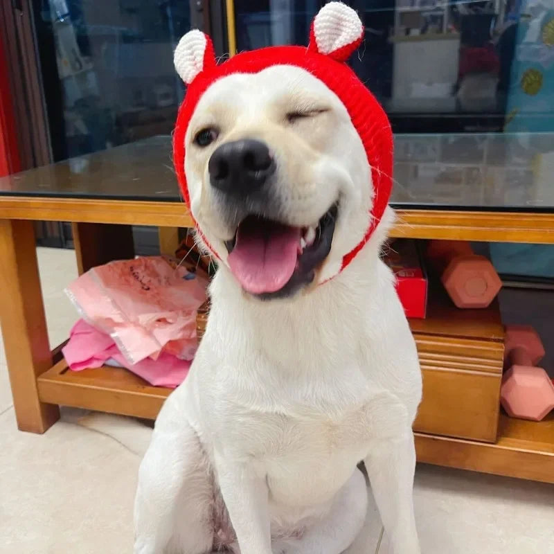 Chapéu de inverno aconchegante para animais de estimação, proteção para os ouvidos, chapéu quente para cães médios e grandes, ideal para caminhadas ao ar livre, clima frio, fantasia de férias