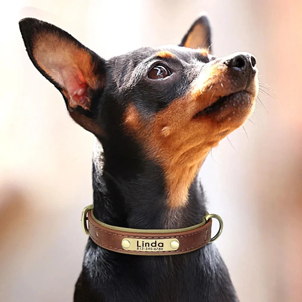 Coleira de Cão Personalizada em Couro com Placa de Identificação, Almofadada e Macia, Gravação Gratuita do Nome para Cães Pequenos, Médios e Grandes