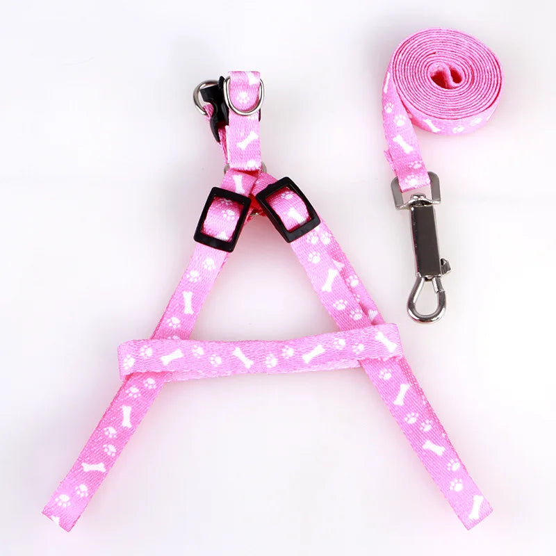 Coleira para Cães Pequenos, Coleiras para Filhotes, Conjunto de Coleira e Peitoral para Teddy, Conjunto de Corda de Guia Fofa