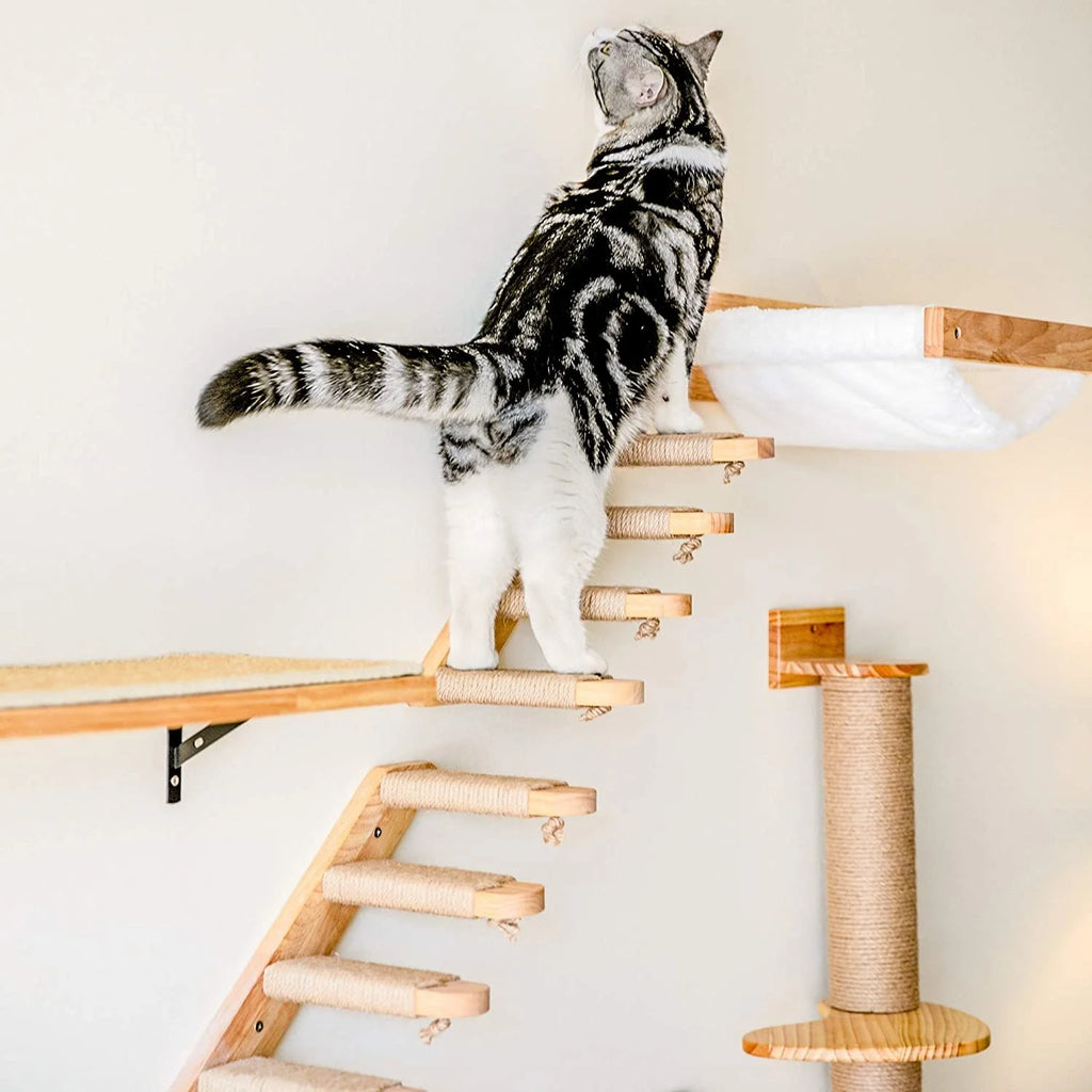 1pcCat Coçar Escalada Post Wall-montado Cat Hammock Bed Pet Móveis Kitten Wall Shelf Set Cat Perch Madeira Cat Tree House