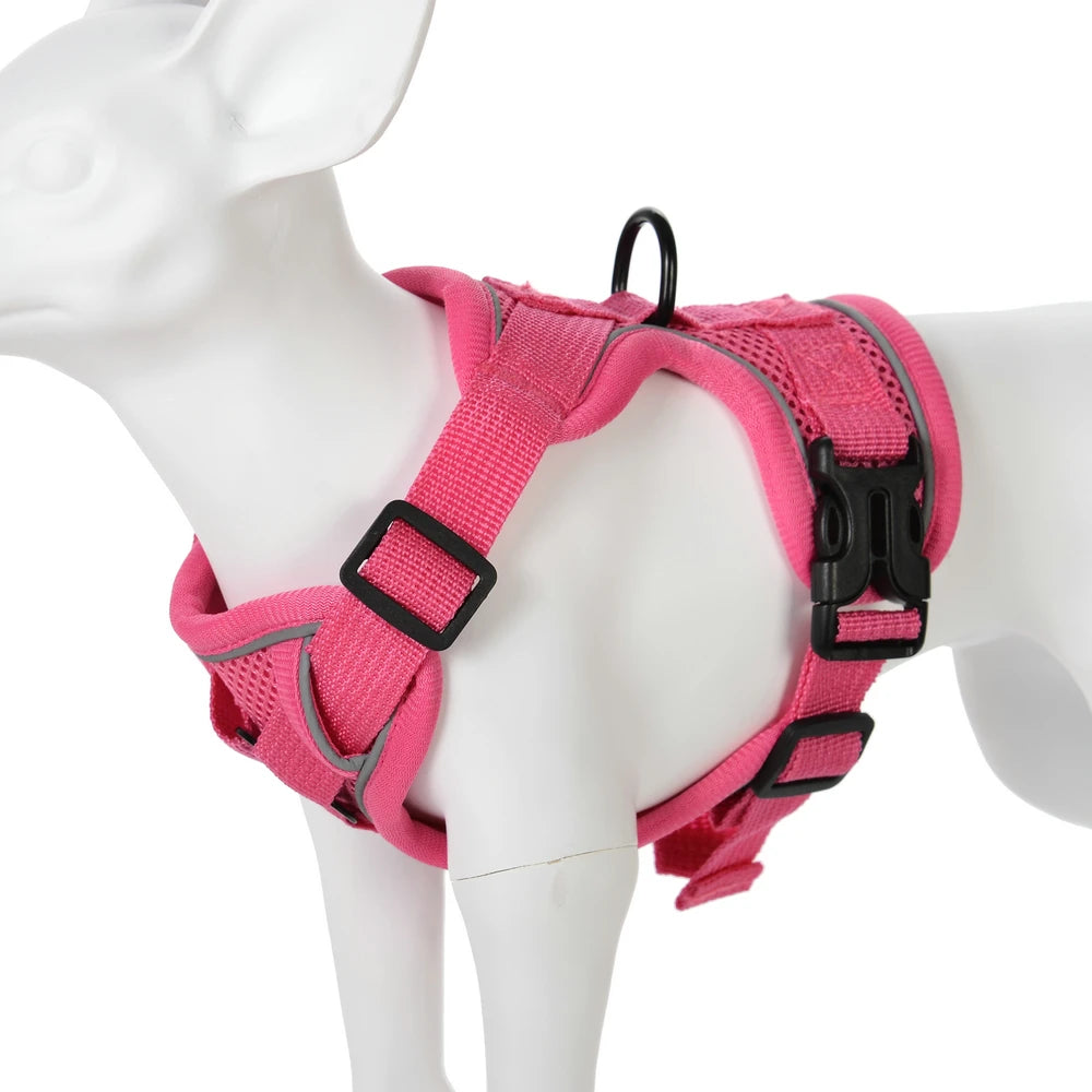 Conjunto de Arnês e Coleira para Cães Pequenos: Acessórios Essenciais para Bulldog Francês, Pug, Pitbull e Filhotes - Coleira Peitoral para Cães