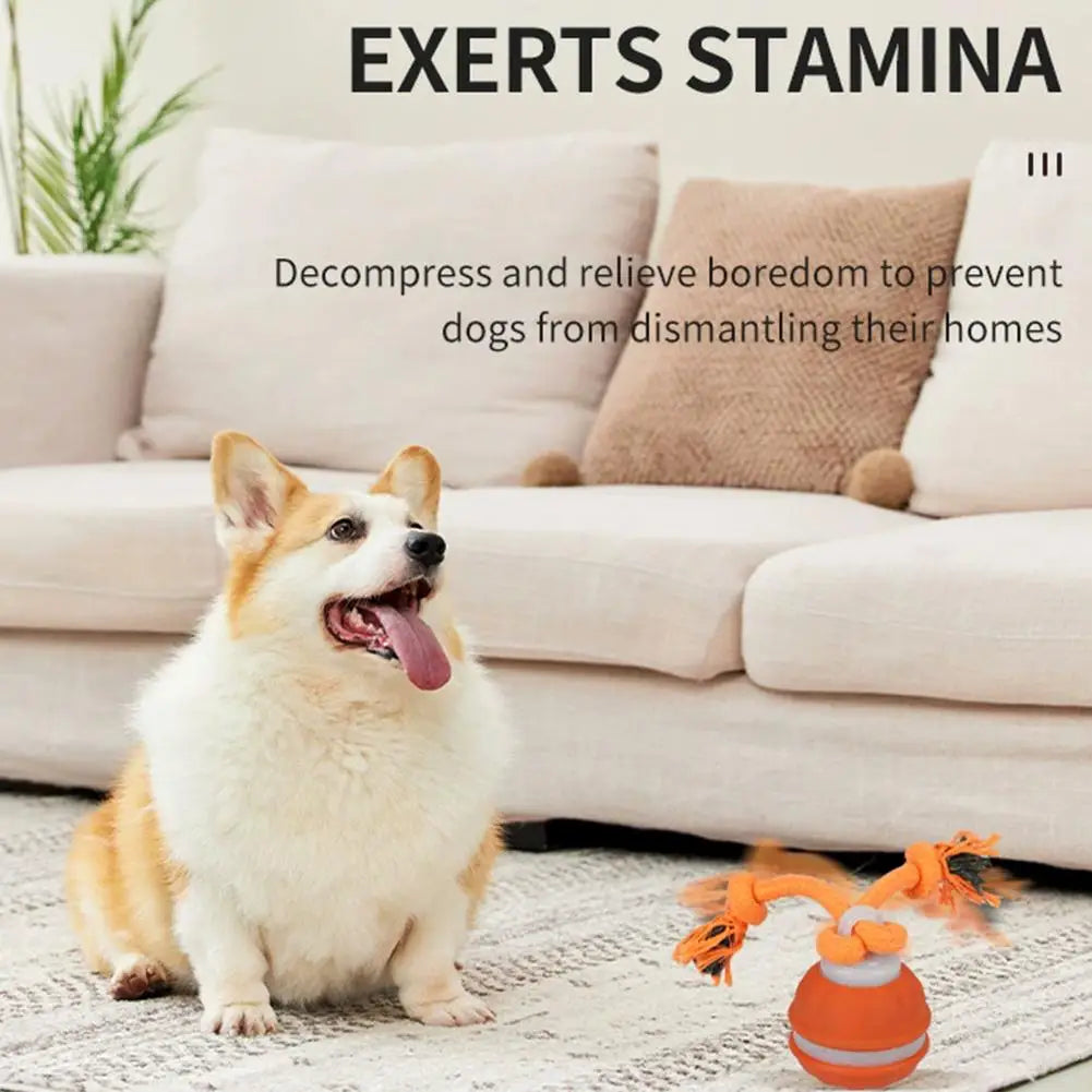 Bola Interativa para Cães, Brinquedo que Ativa com Movimento, Bola Rolante para Filhotes/Cães Pequenos, Brinquedo Automático Recarregável via USB