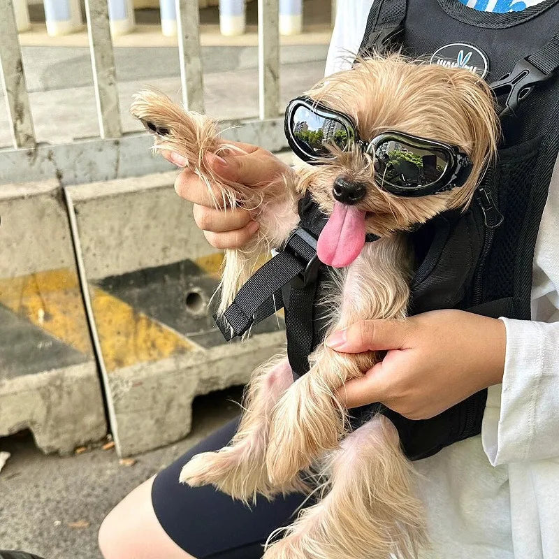 Suprimentos para animais de estimação moda gatos cães óculos de sol à prova de vento à prova de poeira óculos para viagens ao ar livre óculos de proteção uv verão