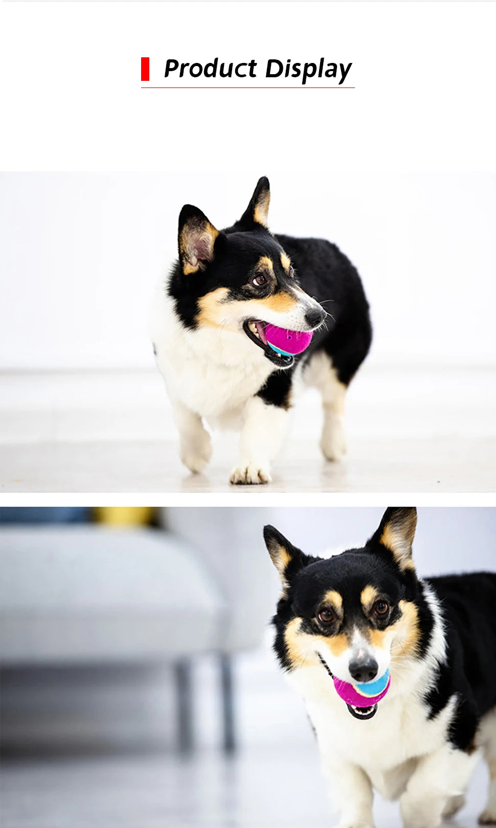 Bola de tênis estridente para cães de estimação, brinquedos interativos para cães, bola de borracha com som de alto salto para treinamento de cães, bola de brincar ao ar livre, presente para cachorros