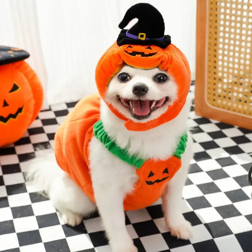 Fantasias de Halloween para Cães, Traje Engraçado de Abóbora Lanterna, Roupa de Transformação para Cães e Gatos de Duas Patas, Chapéu de Abóbora Fofo, Jaqueta para Cães