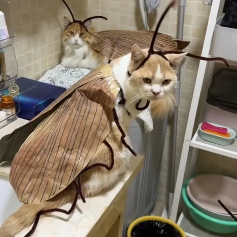 Fantasia de Gato com Capuz de Barata para Halloween, Traje Engraçado para Animais de Estimação, Roupa para Festas e Festivais, para Gatinhos e Filhotes de Porte Pequeno e Médio, Adereços para Fotos