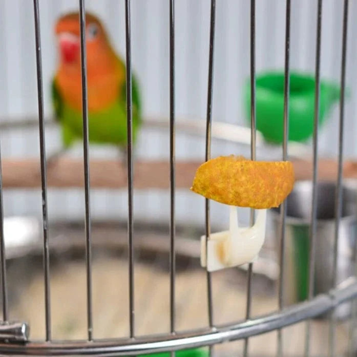 5 Garfos de Frutas Duráveis de Plástico para Gaiola de Pássaros, Acessórios para Alimentação de Papagaios, Suporte para Petiscos, Utensílios para Pássaros, Suprimentos Multifuncionais para Animais de Estimação