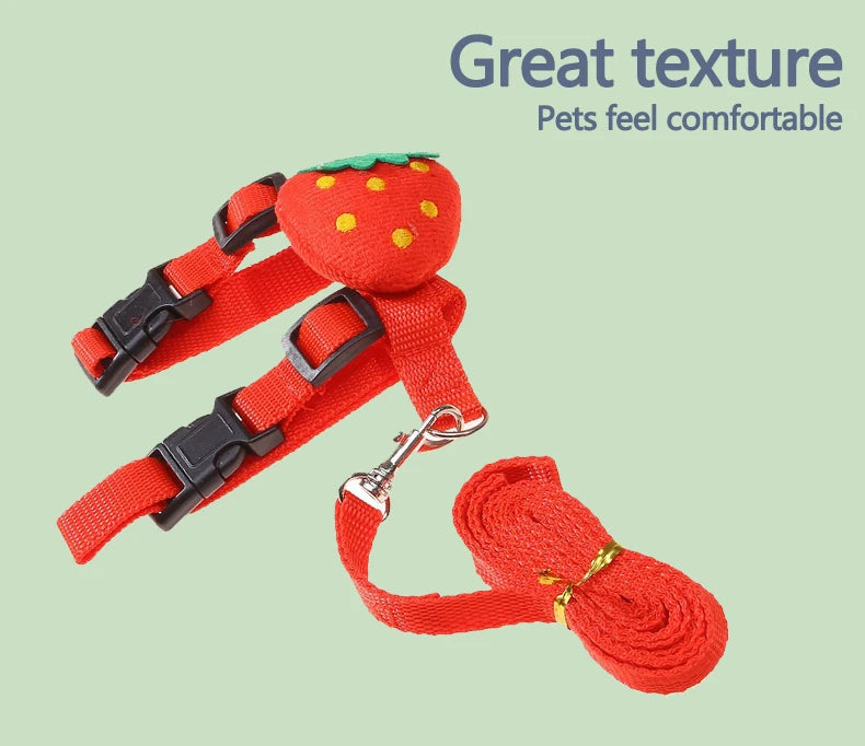 Coelho gato arnês e trela conjunto ajustável pet chumbo trela para animais pequenos furões pigmentos ouriços caminhada ao ar livre